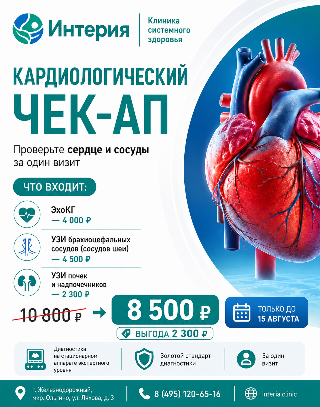 Кардиологический ЧЕК-АП: ЭхоКГ, УЗИ брахиоцефальных сосудов, УЗИ почек и надпочечников